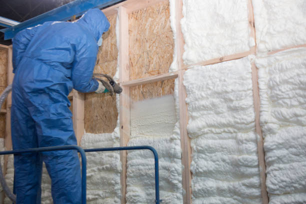 Types of Insulation We Offer in Galveston, IN